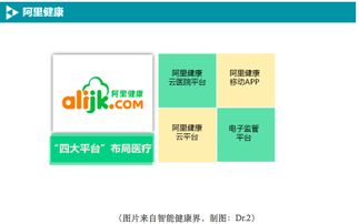 BAT如何布局移動醫療數據處理服務 戰略、技術與未來展望